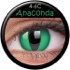 Crazy - 4-6C Anaconda