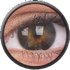 EyeLush Choco