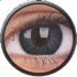 EyeLush Gray